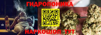 дмт Кизилюрт