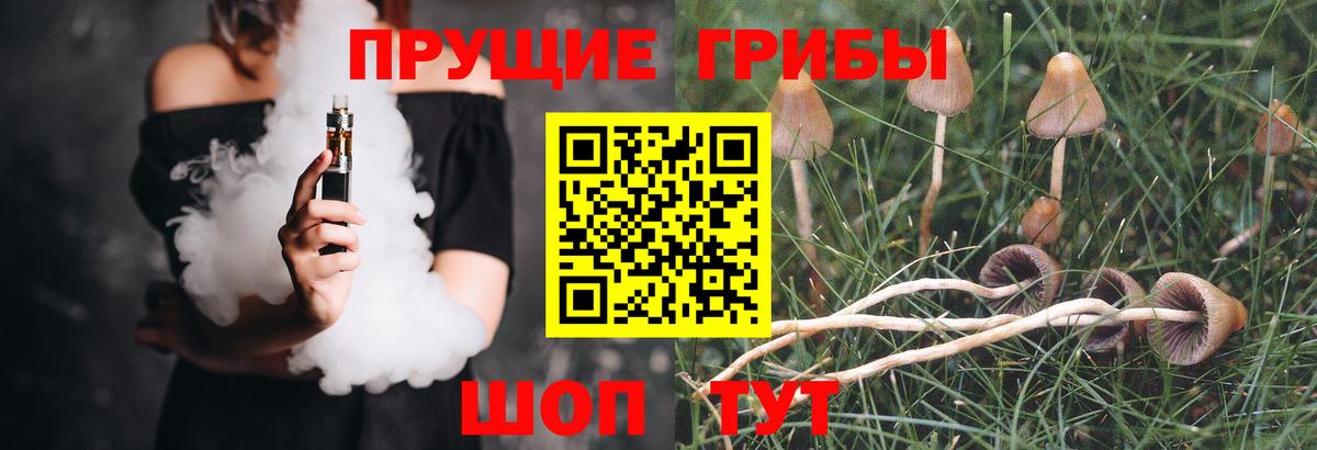 Галлюциногенные грибы Magic Shrooms  Вход с VPN  Губаха 
