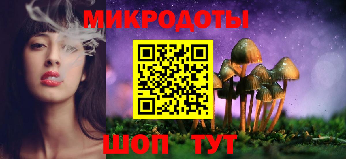 Псилоцибиновые грибы Psilocybine cubensis Губаха